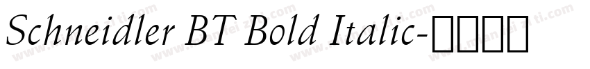 Schneidler BT Bold Italic字体转换